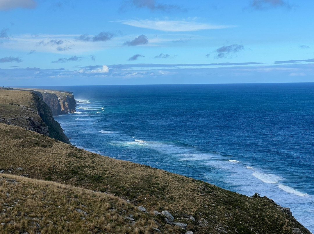 Wild Child Africa-彼得马里茨堡必去景点