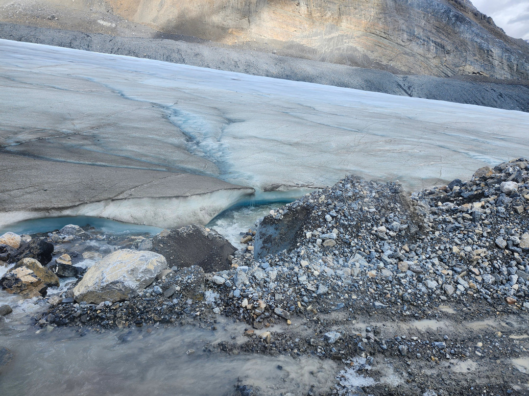 哥伦比亚冰原-贾斯珀必去景点