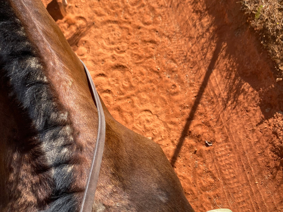 Centro Ecuestre Entrepinares-塞维利亚必去景点