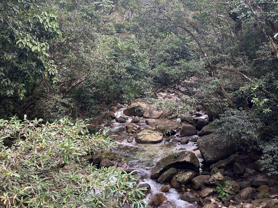 Mossman Gorge-道格拉斯港必去景点