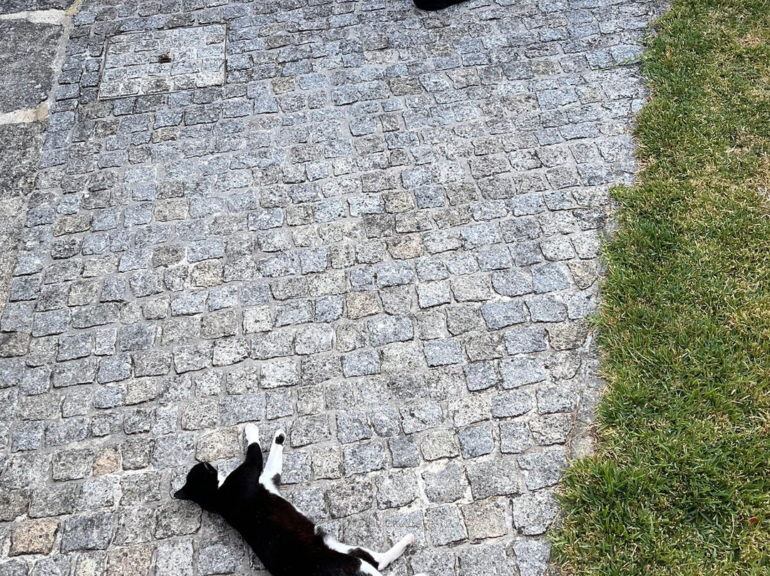 Paço de Vilharigues主图