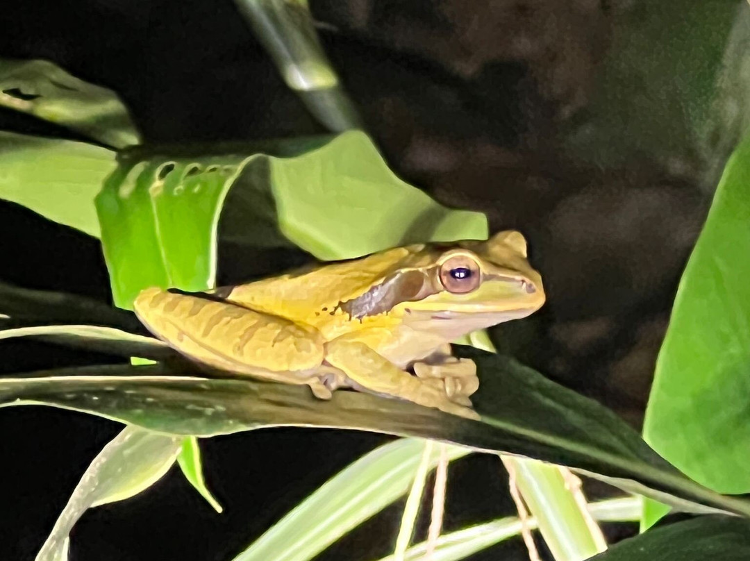 Arenal Vida Campesina-福德圣卡洛斯必去景点