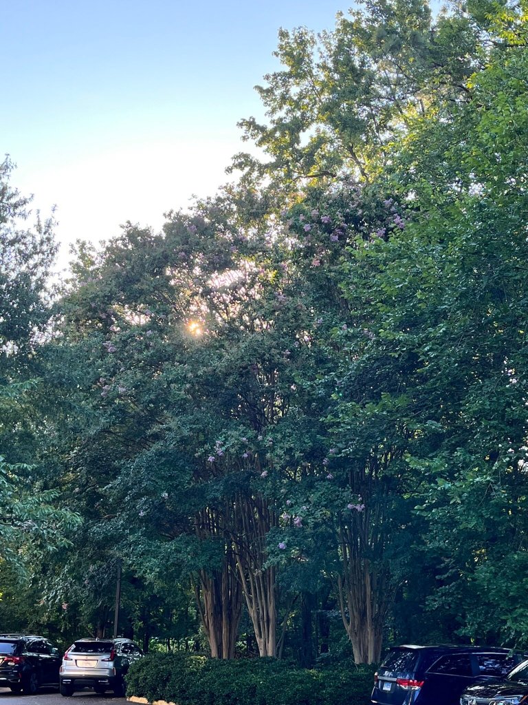 Hyatt Place Richmond/Arboretum-官方