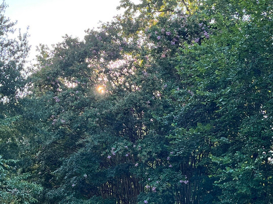 Hyatt Place Richmond/Arboretum主图