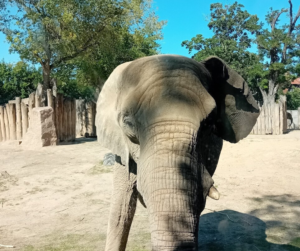 Zoo Halle (Mountain Zoo)-哈雷必去景点