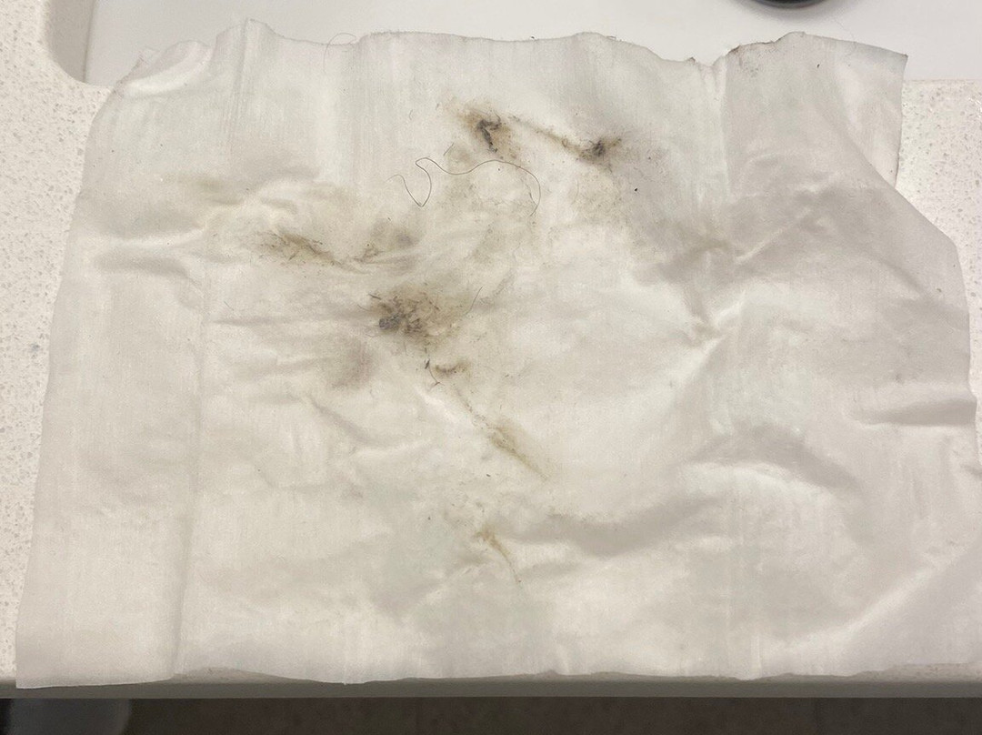 Cactus Tree Inn主图