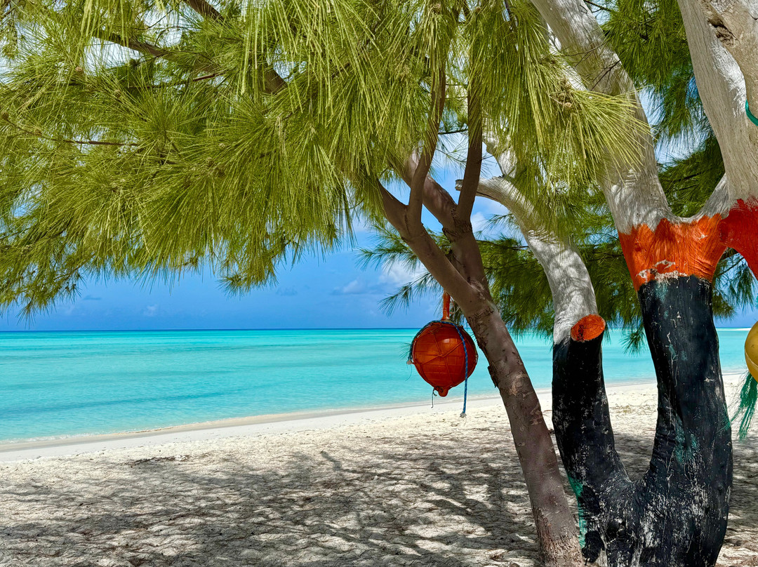 Gordon's Beach Bar & Grill