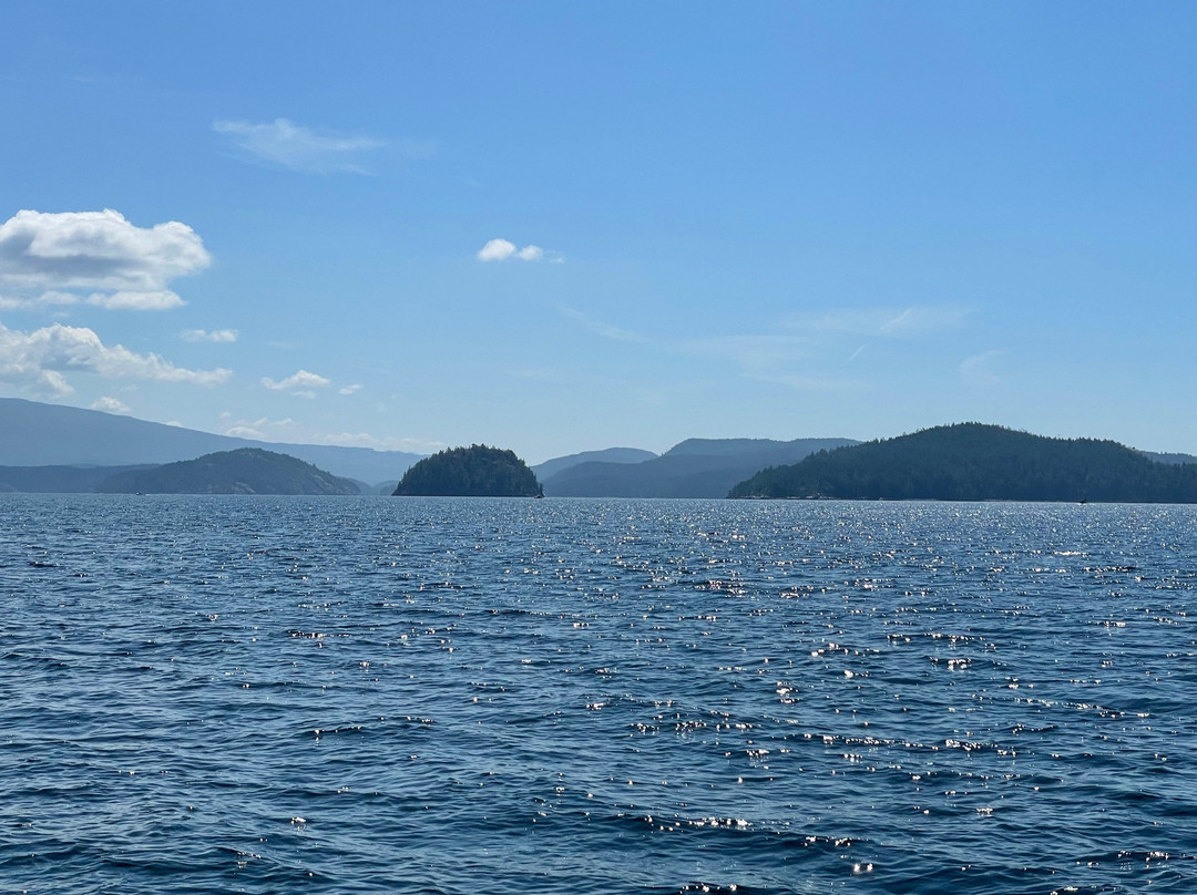 Calma Sailing - Adventures & Sailing School in Desolation Sound-Cortes Island必去景点