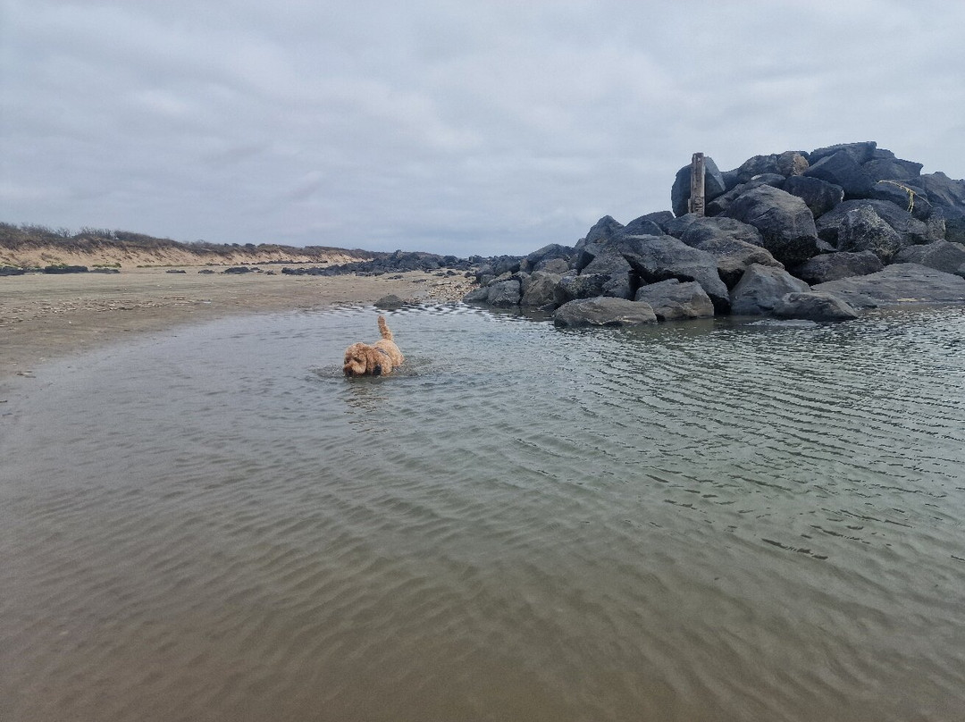 Pembrey Country Park & Beach-Burry Port必去景点