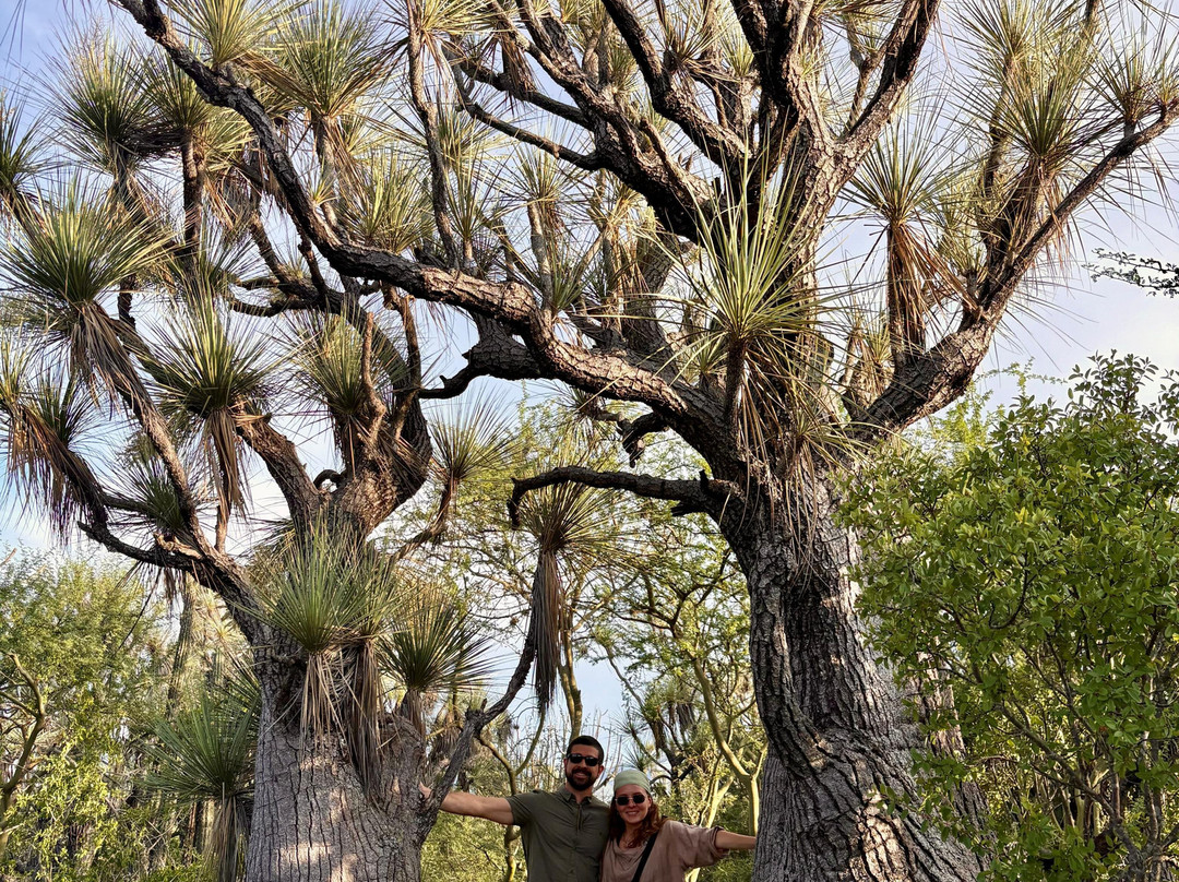 Bio Fan-Tehuacan必去景点