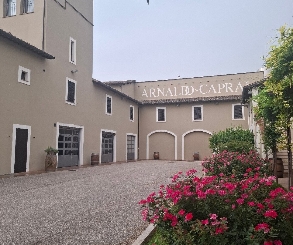 Arnaldo Caprai - Viticoltore in Montefalco-Montefalco必去景点