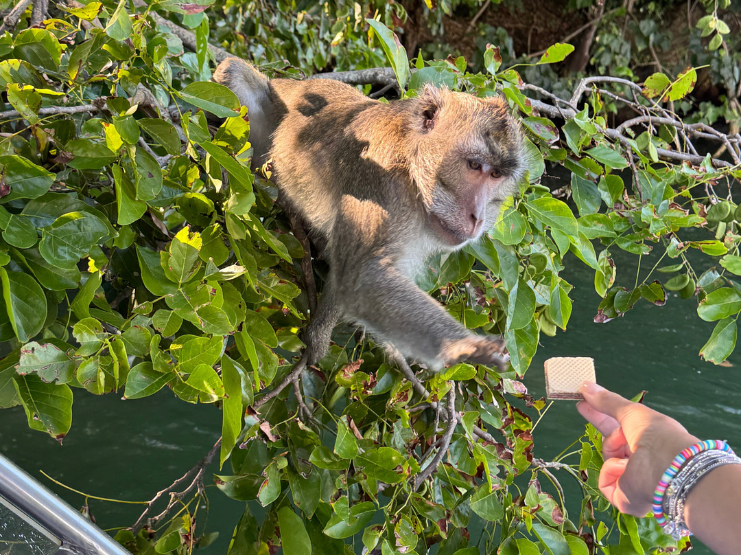 Isa Mauritius-格兰高伯必去景点