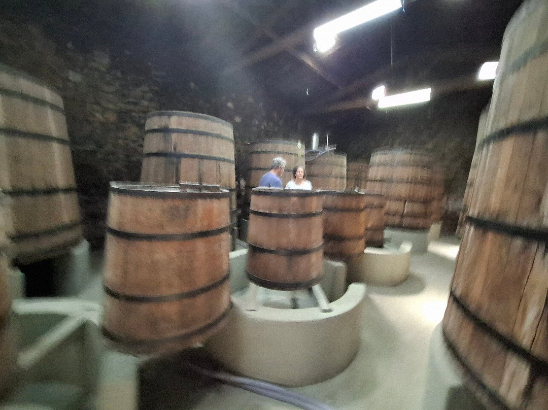 Engenho São Pedro - Cachaça Triumpho-Triunfo必去景点