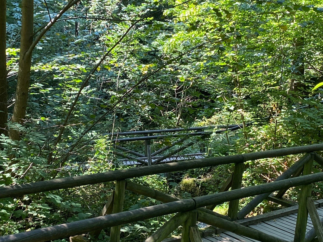 Gaishöll-Wasserfälle-Sasbachwalden必去景点