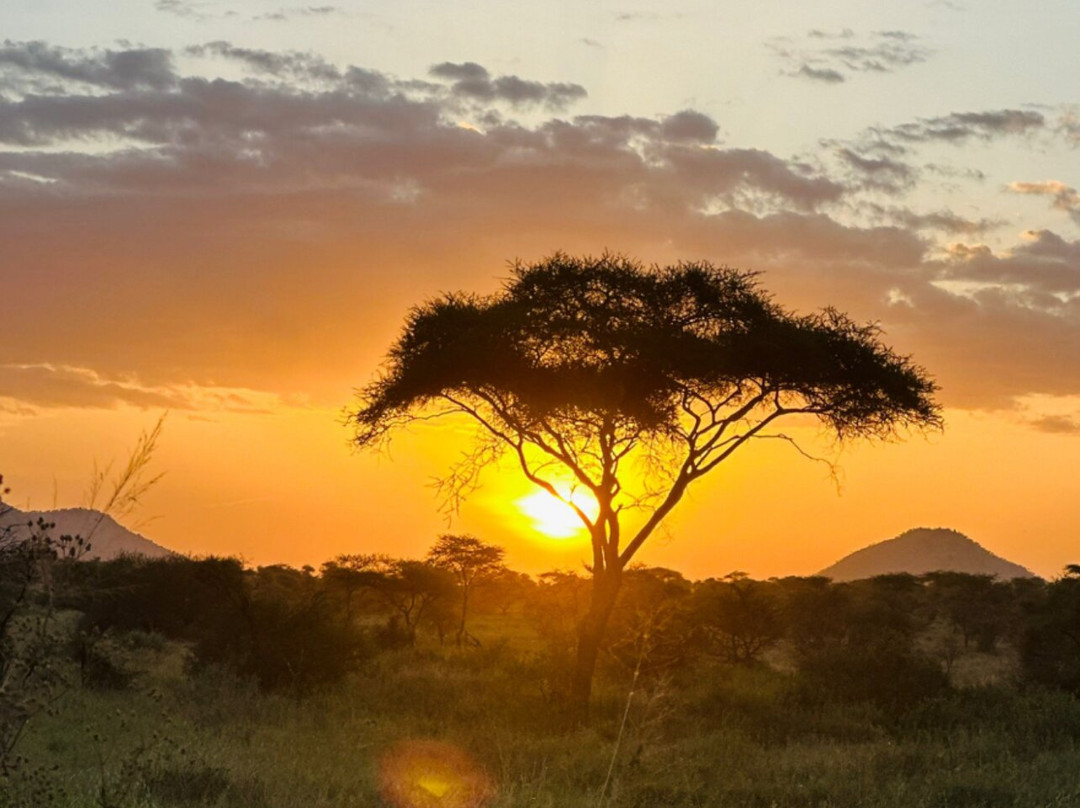 Nafika Tours-莫西必去景点