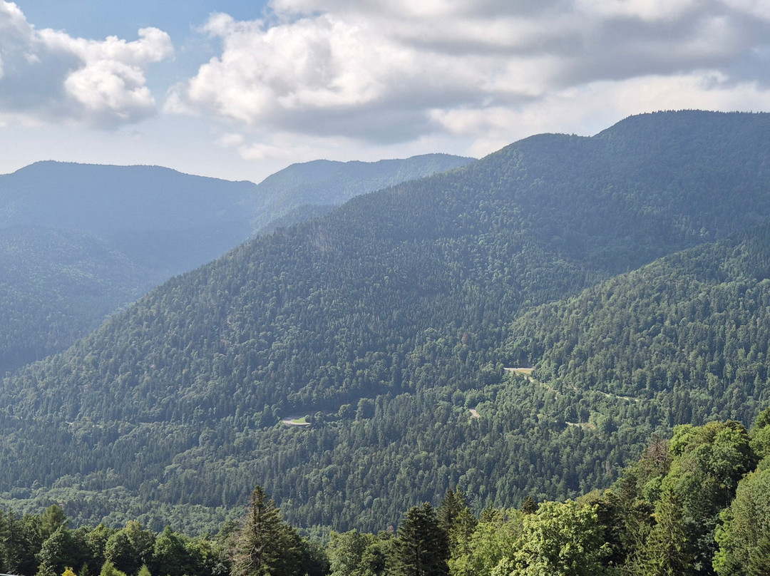 Les Volets Bleus主图