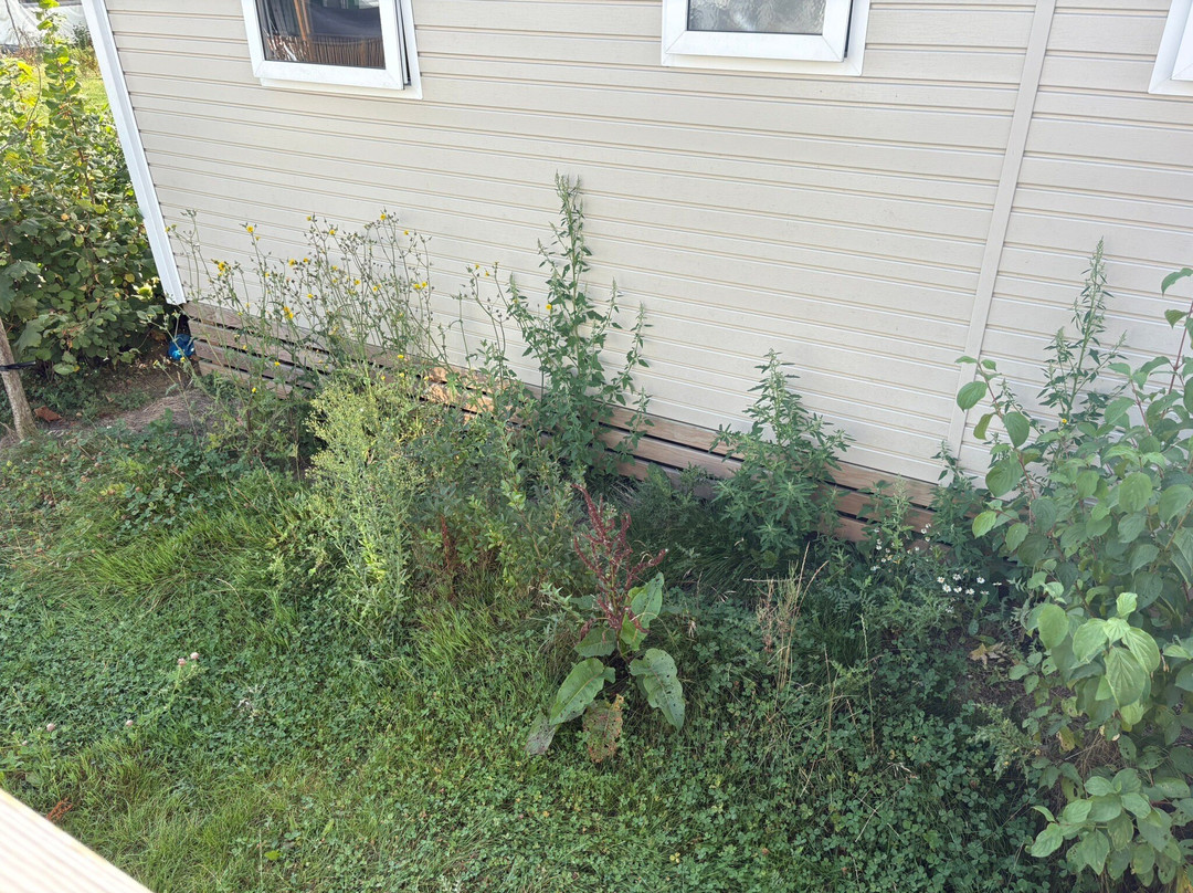 Camping Le Clos Cacheleux主图