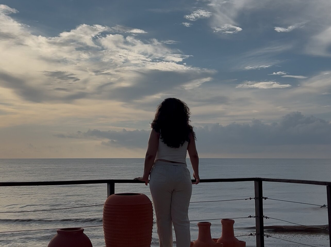 泽布拉科丽布里精品酒店主图