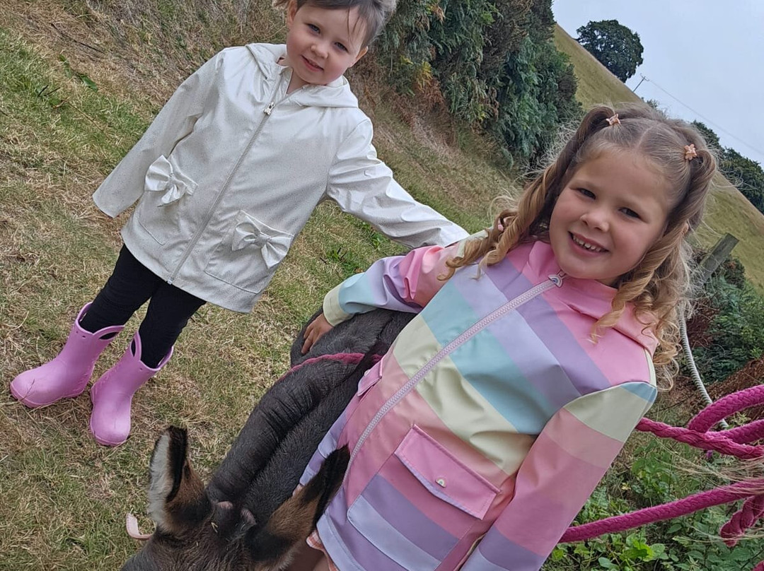 Moel Famau Donkeys-Llanferres必去景点