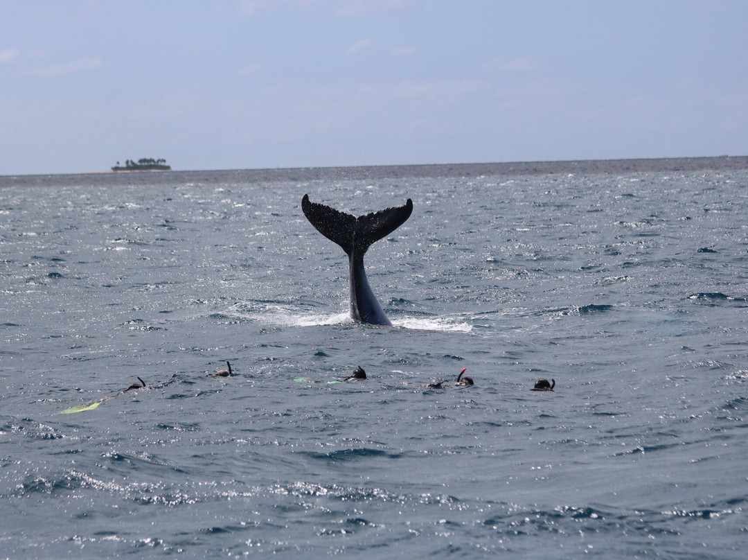 Deep Blue Diving-努库阿洛法必去景点