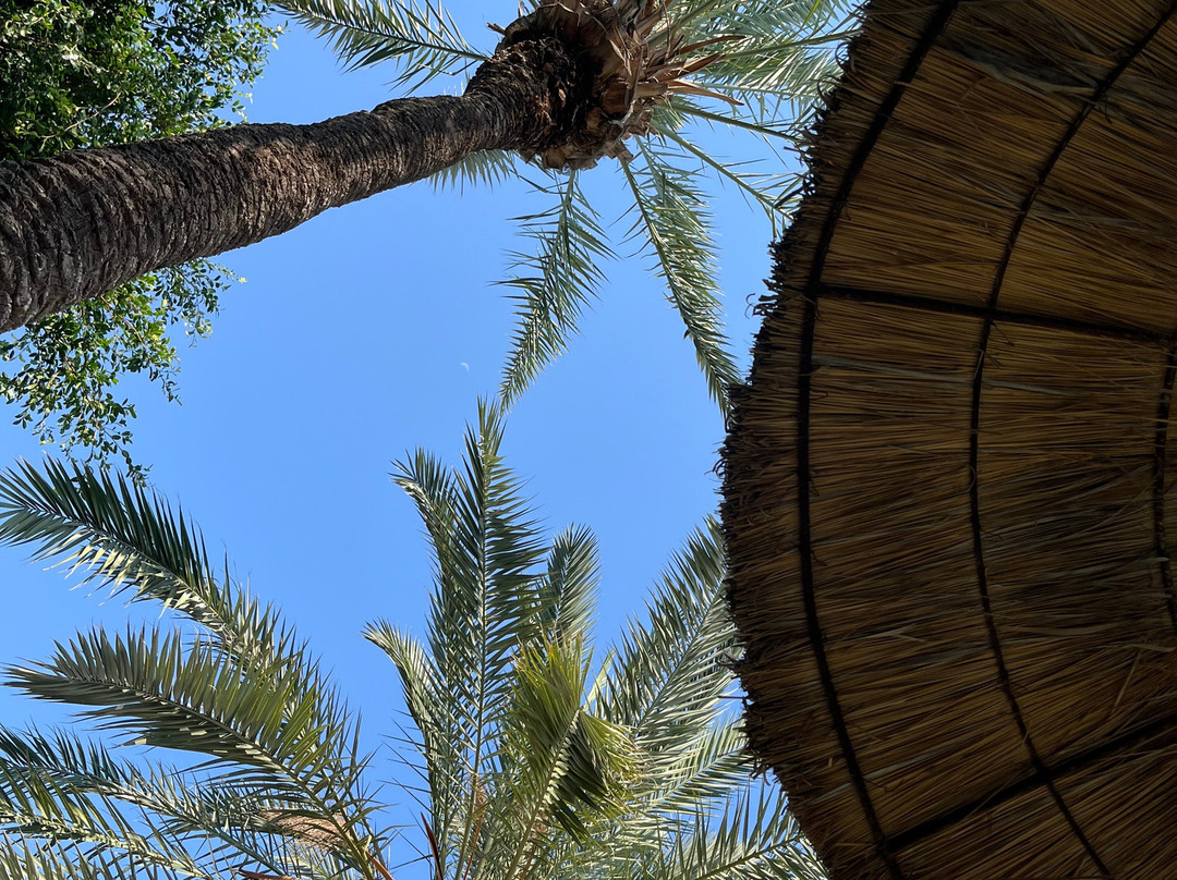 TUI SUNEO Royal Kenz主图