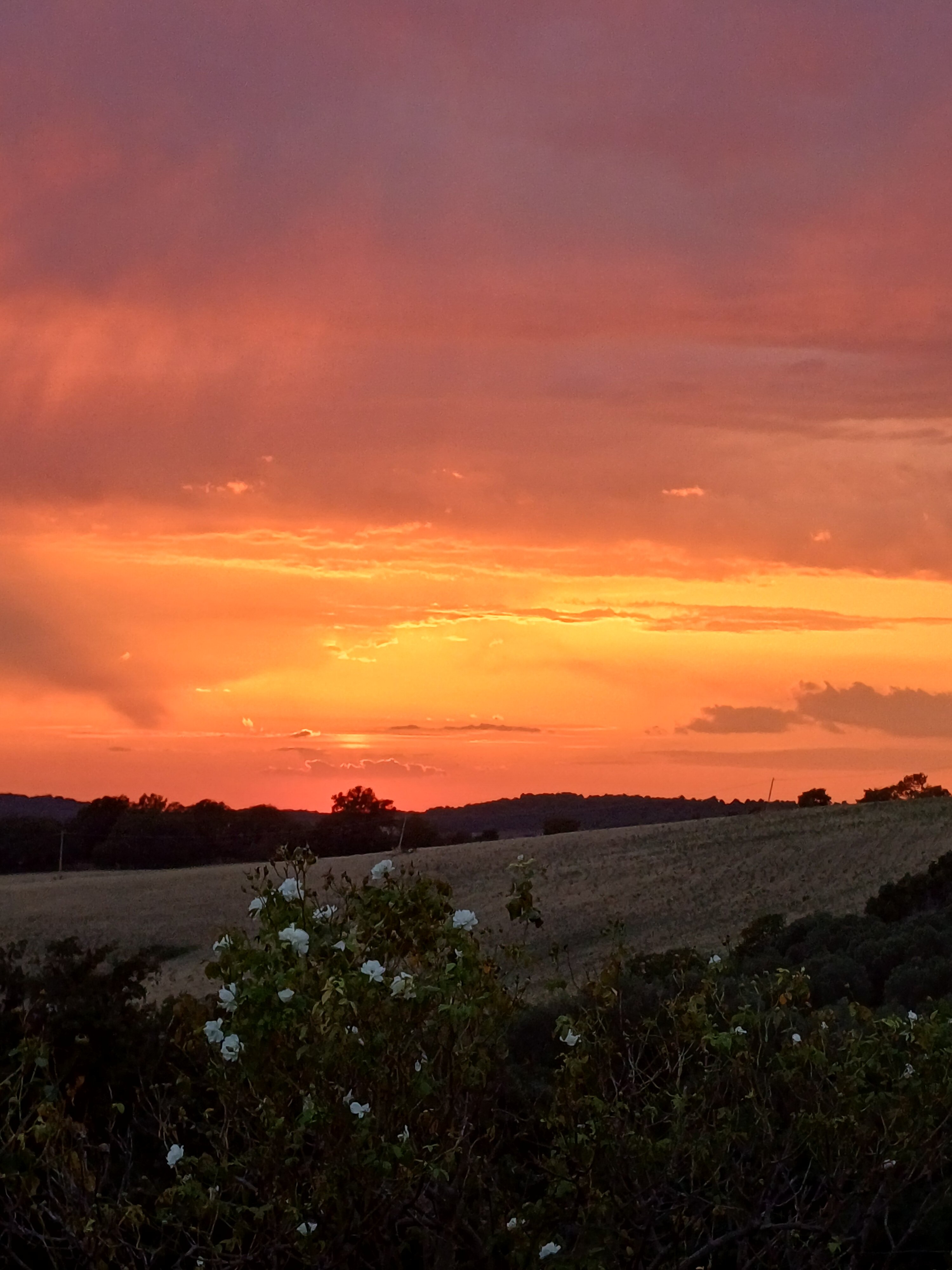 Agriturismo Re Tarquinio-官方