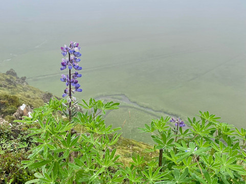 Hey Iceland-雷克雅未克必去景点
