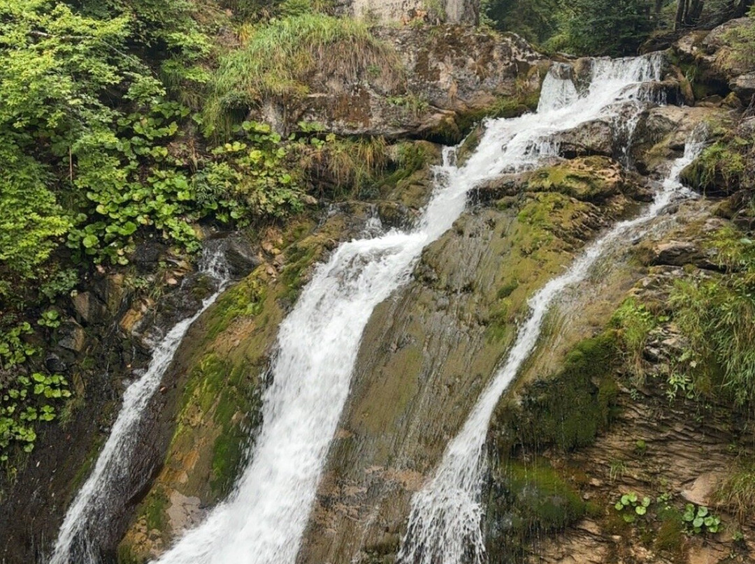 Cascade D'ardent-Montriond必去景点