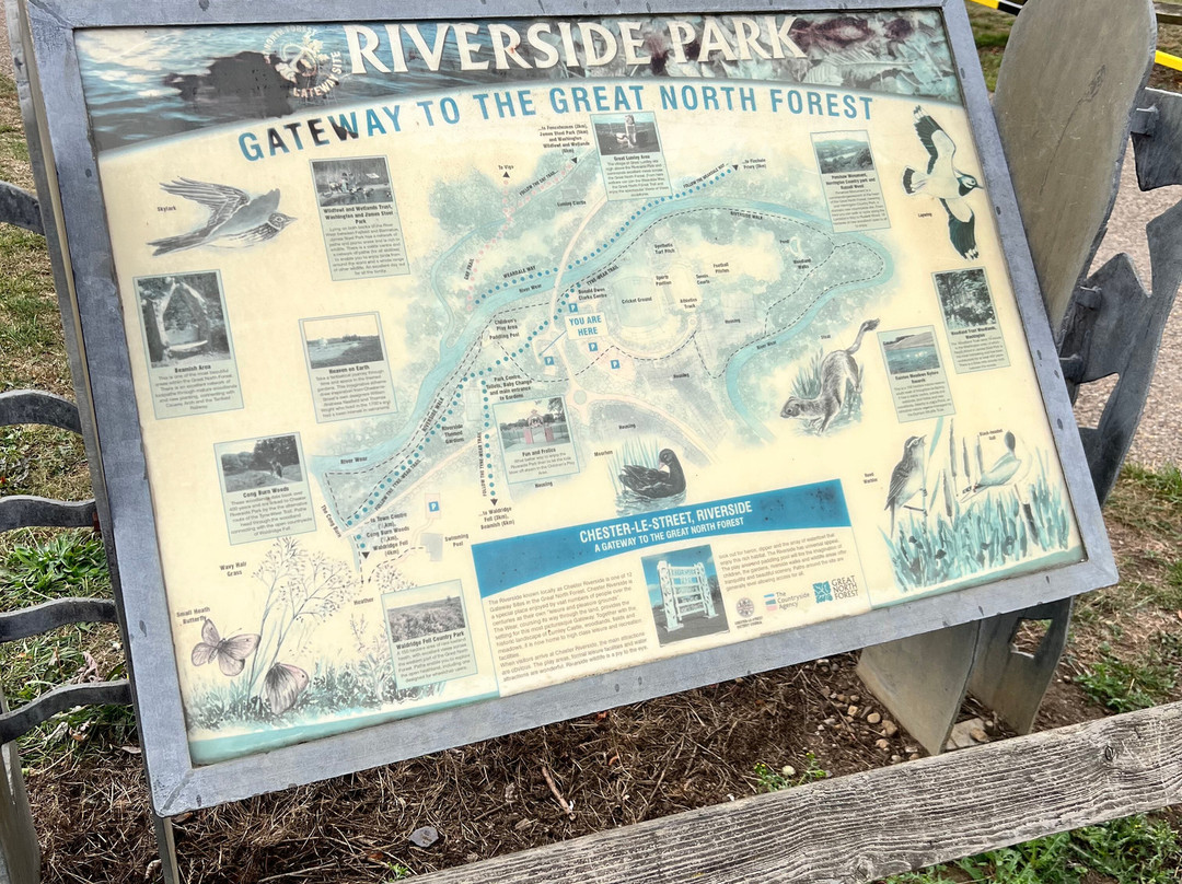 Riverside Park-Chester-le-Street必去景点