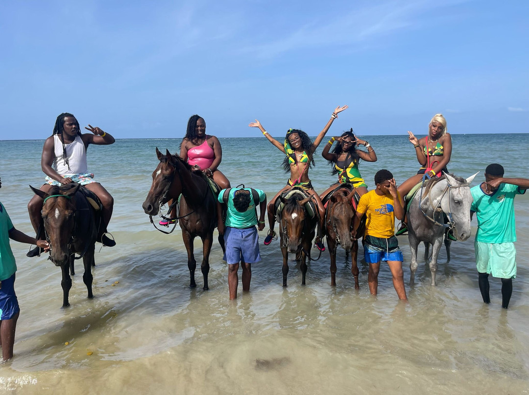 Marks Tours-奥乔里奥斯必去景点