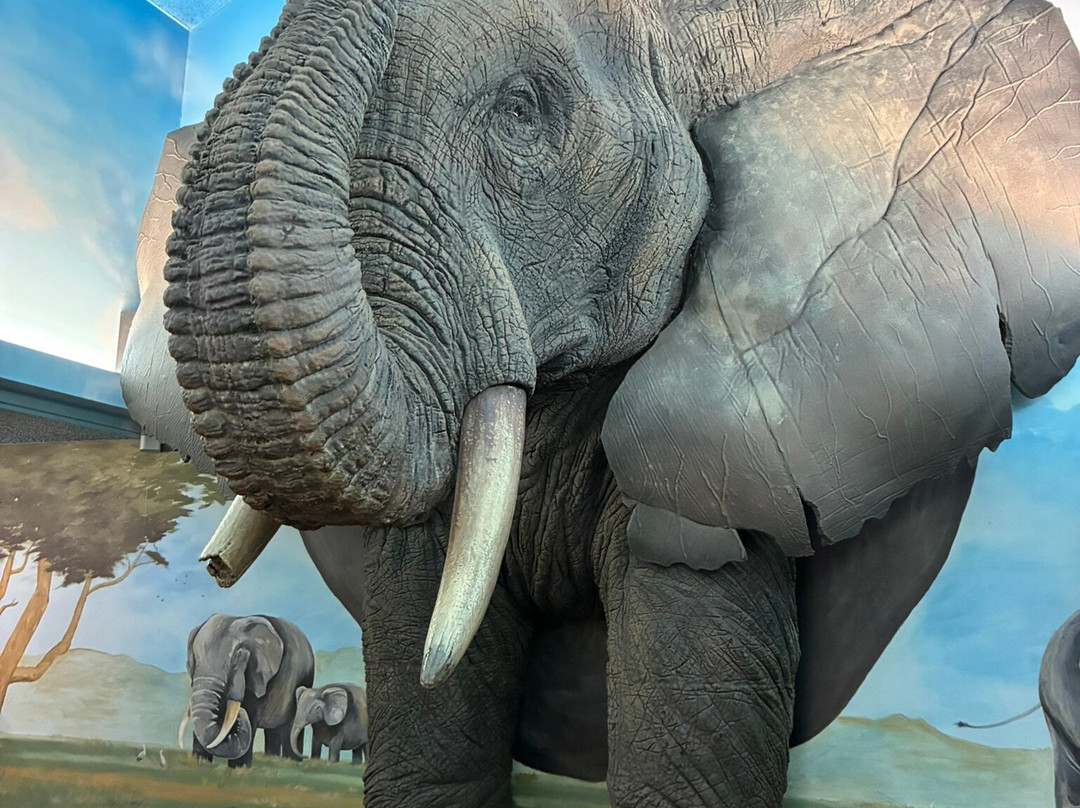 Binder Park Zoo-Battle Creek必去景点