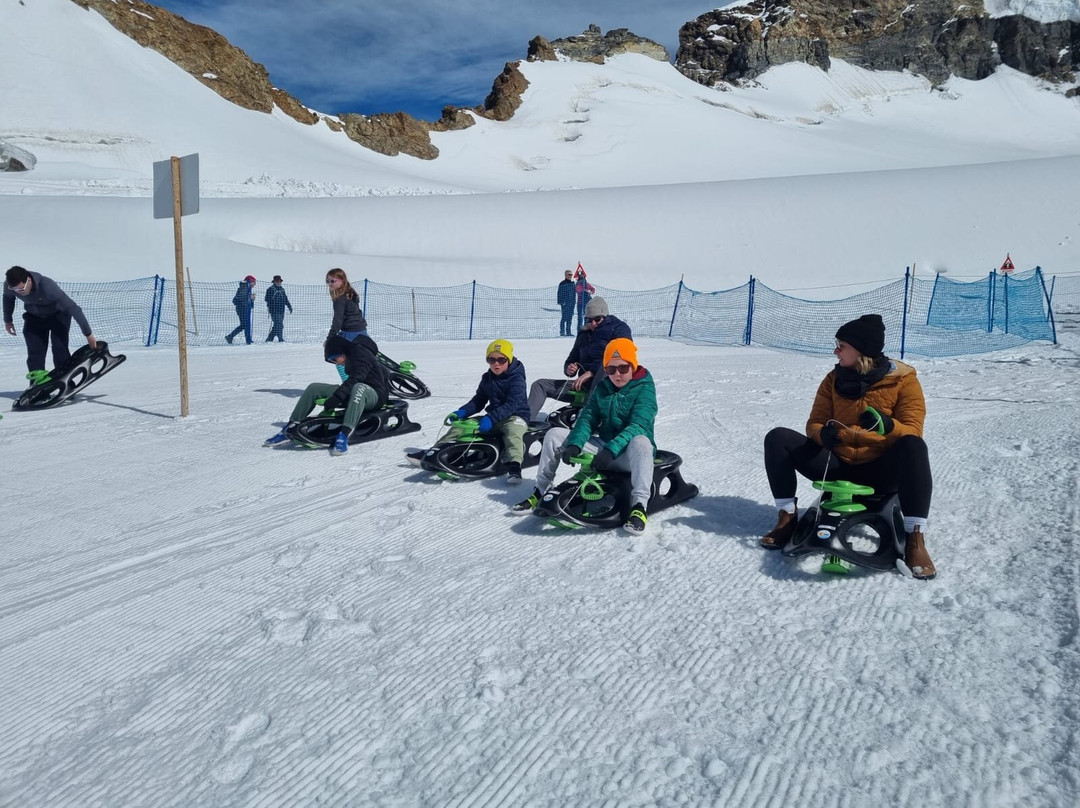 Pure Switzerland - Tours and Guiding-因特拉肯必去景点