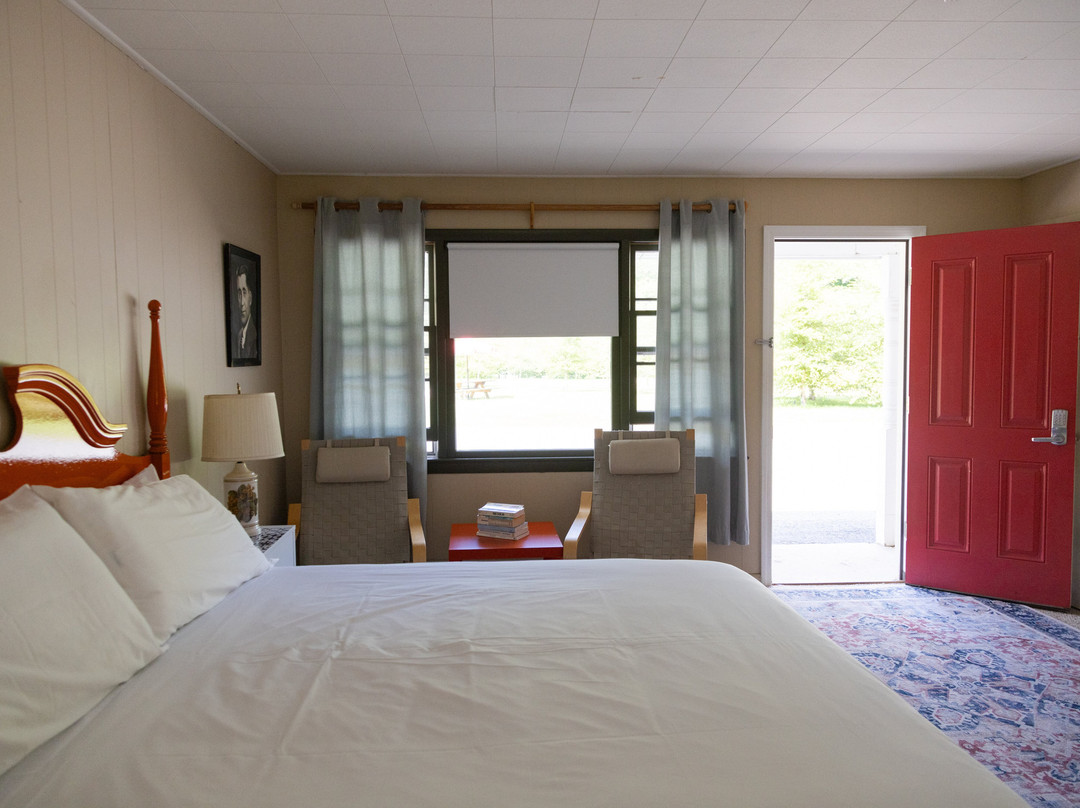 The Little Lion主图