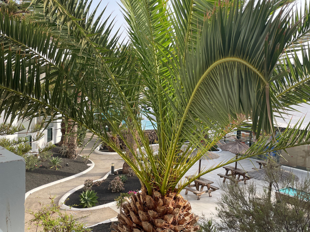 萨尔瓦多特雷沃尔公寓主图