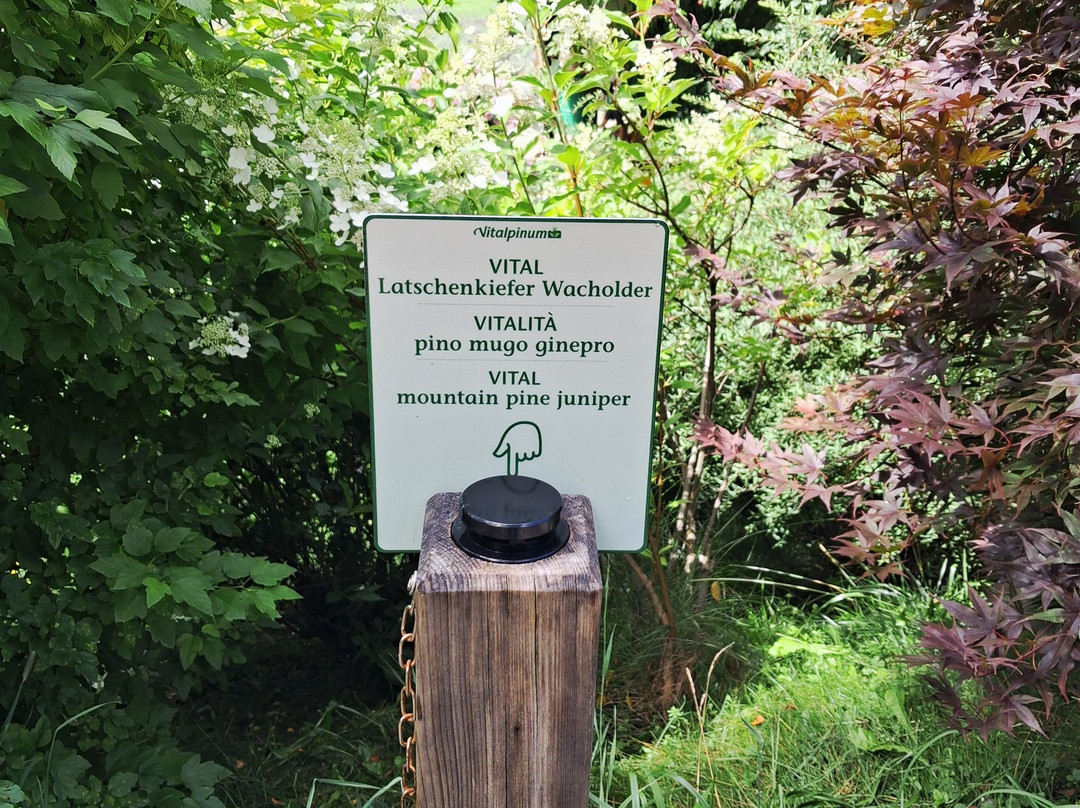 Vitalpinum-Assling必去景点