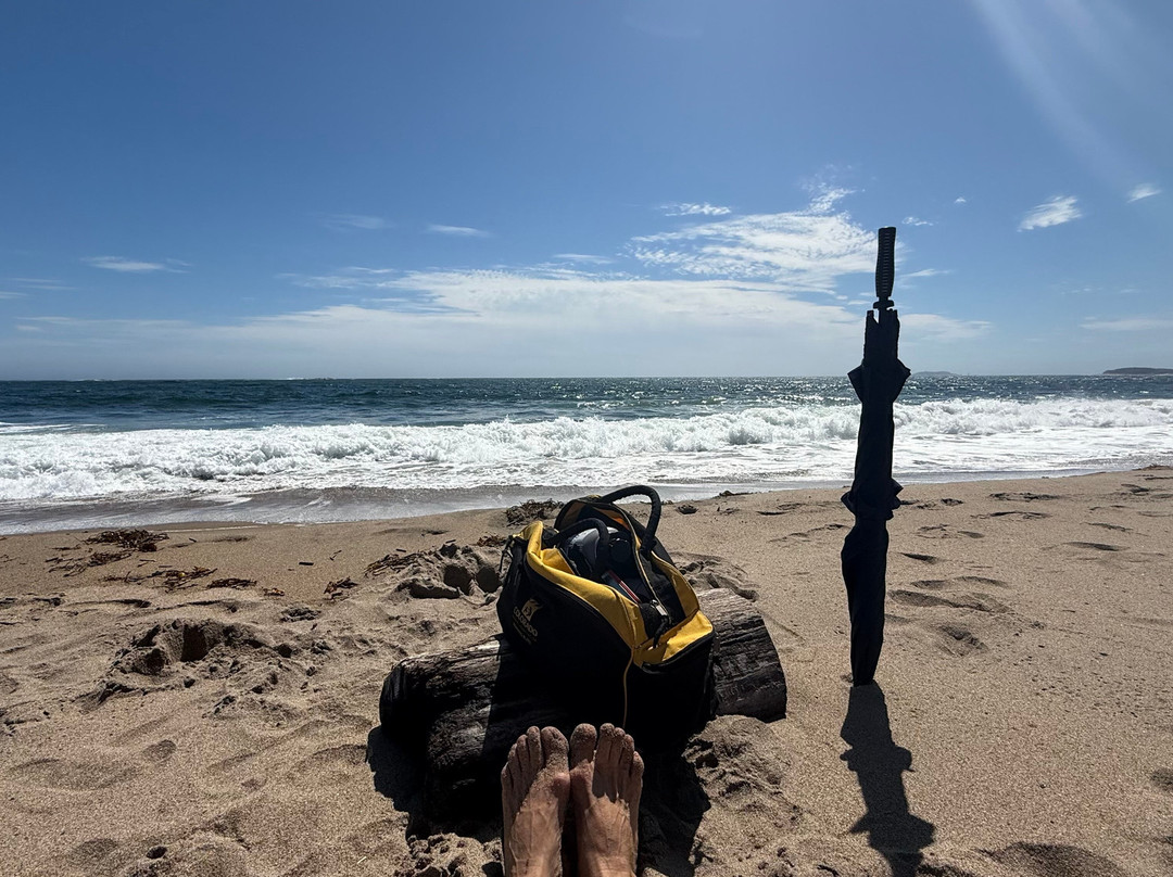 Reid State Park-Georgetown必去景点