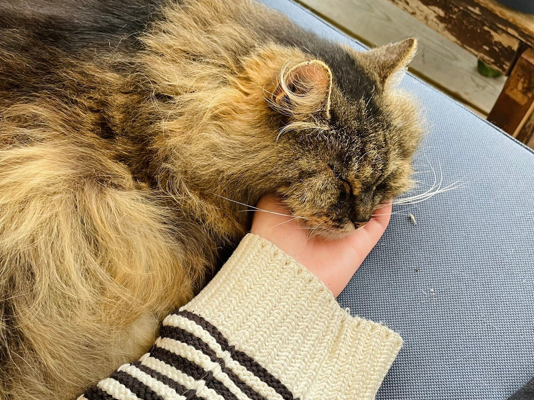 Johanssons Gardshotell i Roslagen主图