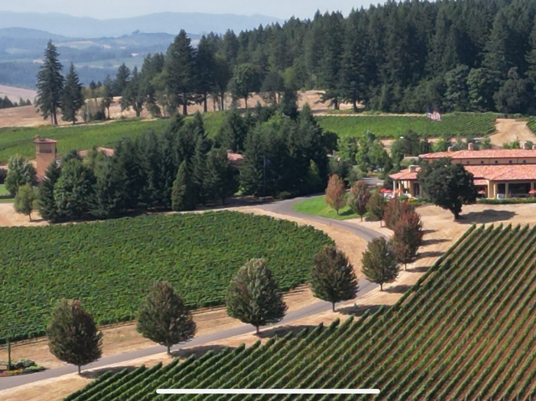 Domaine Serene Vineyards & Winery-Dayton必去景点