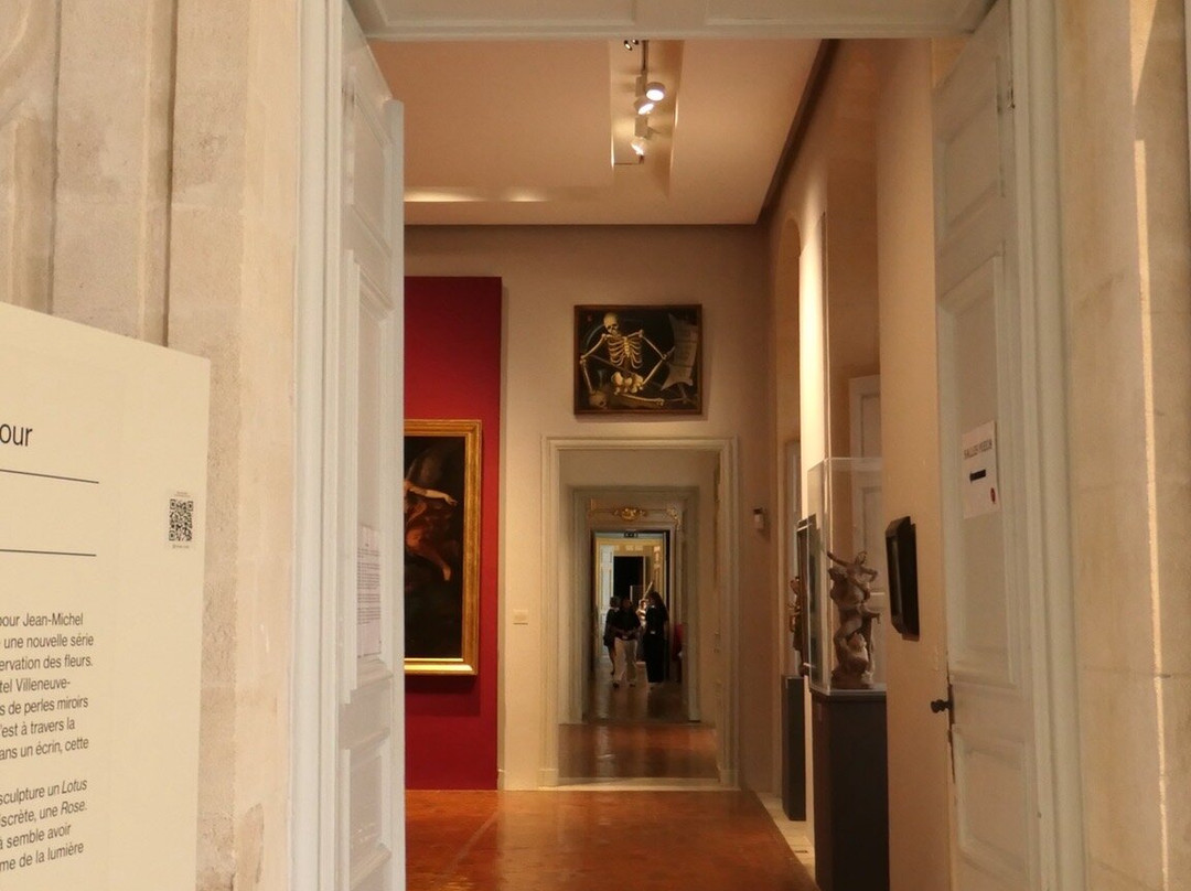 卡维博物馆-阿维尼翁必去景点