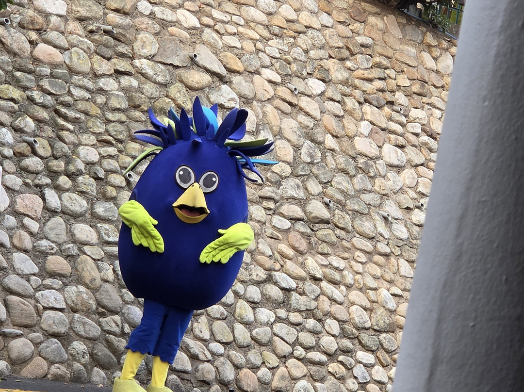 La Cote D'Azur主图