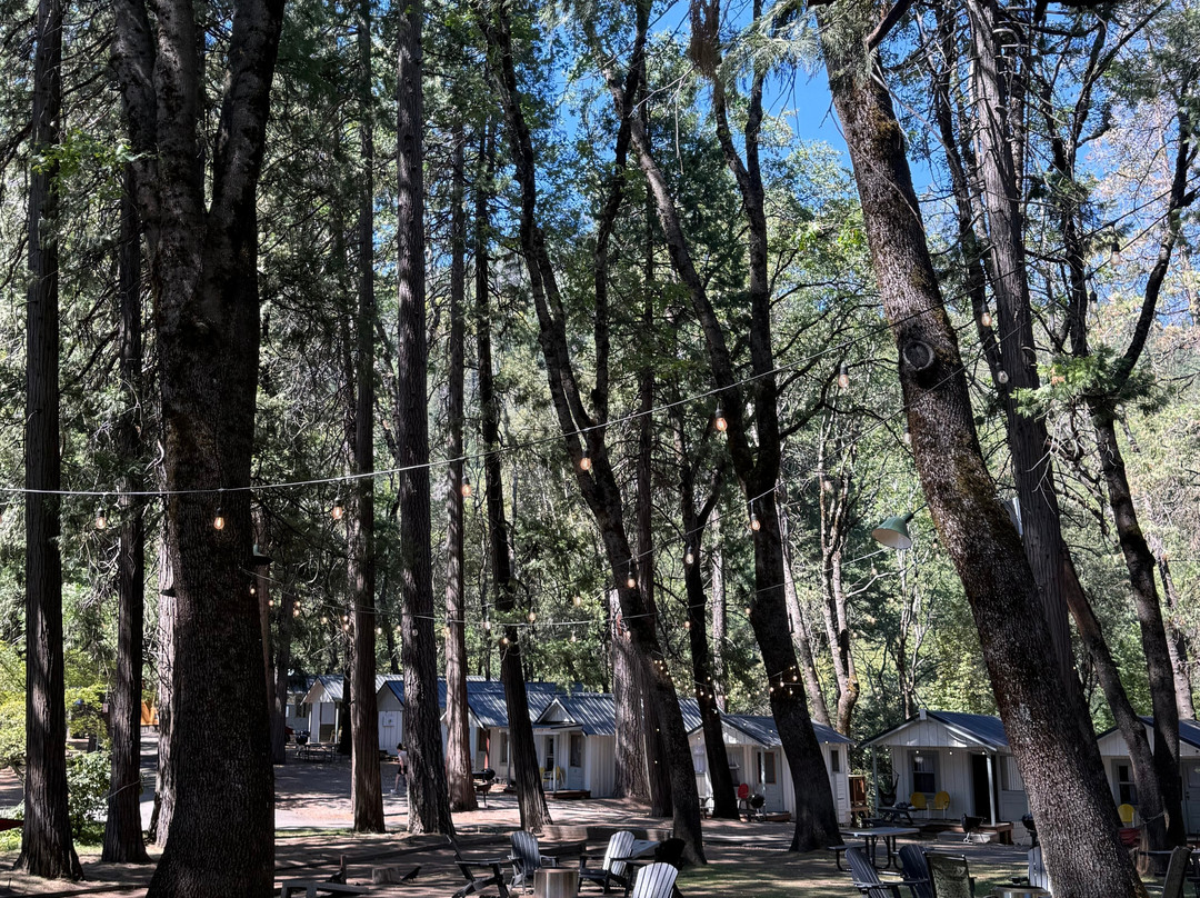 Cave Springs Resort主图