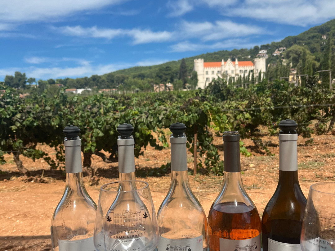 Dégustation Vignes Et Patrimoine-Carqueiranne必去景点
