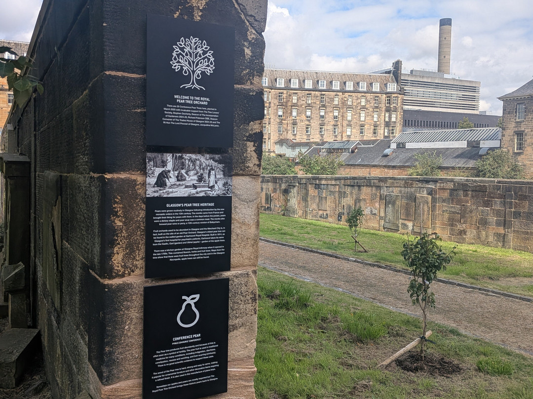 Friends Of Glasgow Royal Infirmary Museum-格拉斯哥必去景点