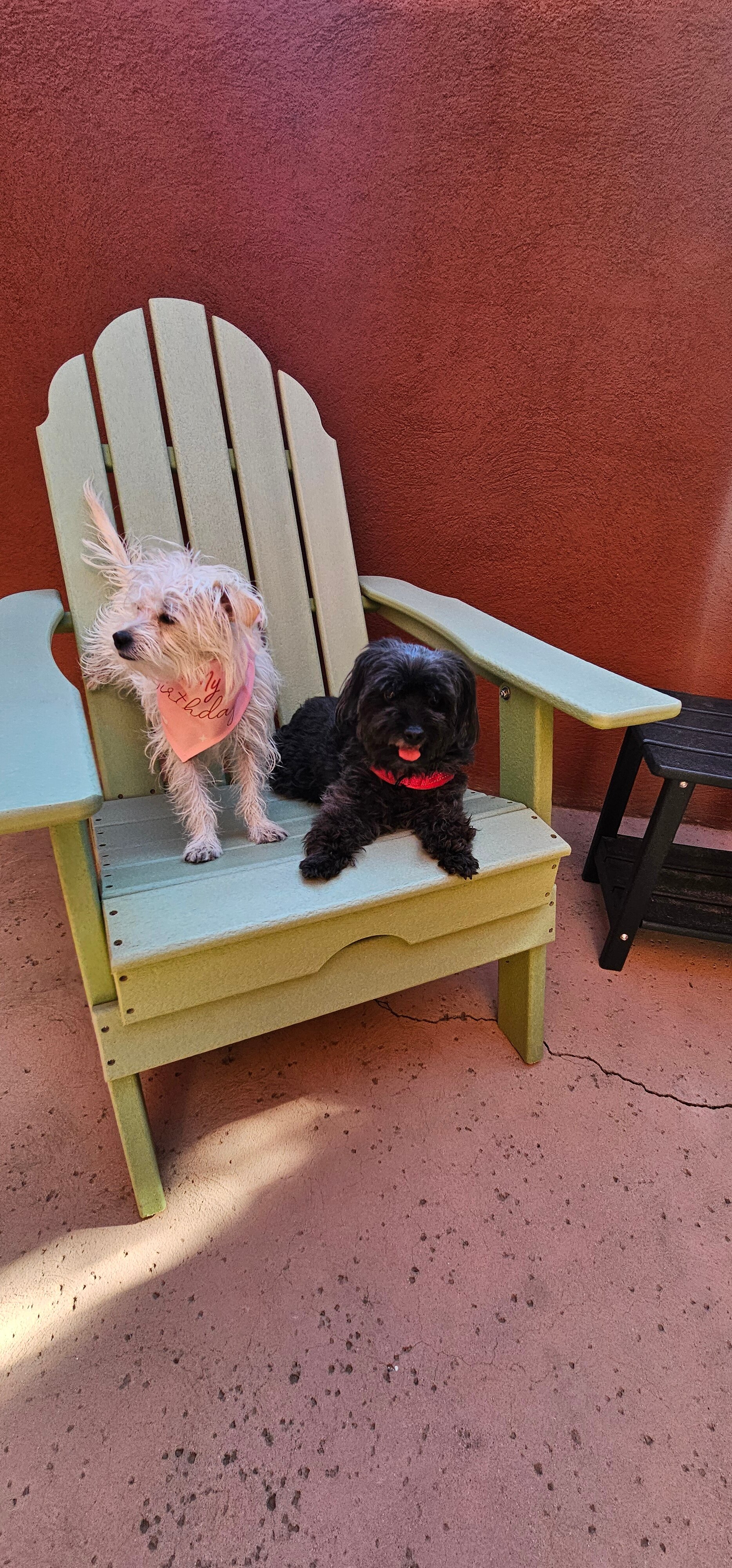 Las Posadas of Sedona-官方