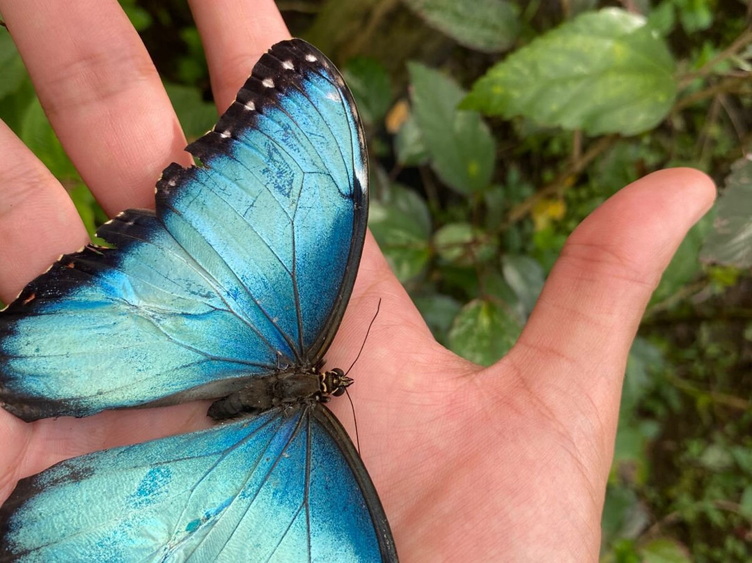 Parque National Volcan Tenorio-Bijagua de Upala必去景点