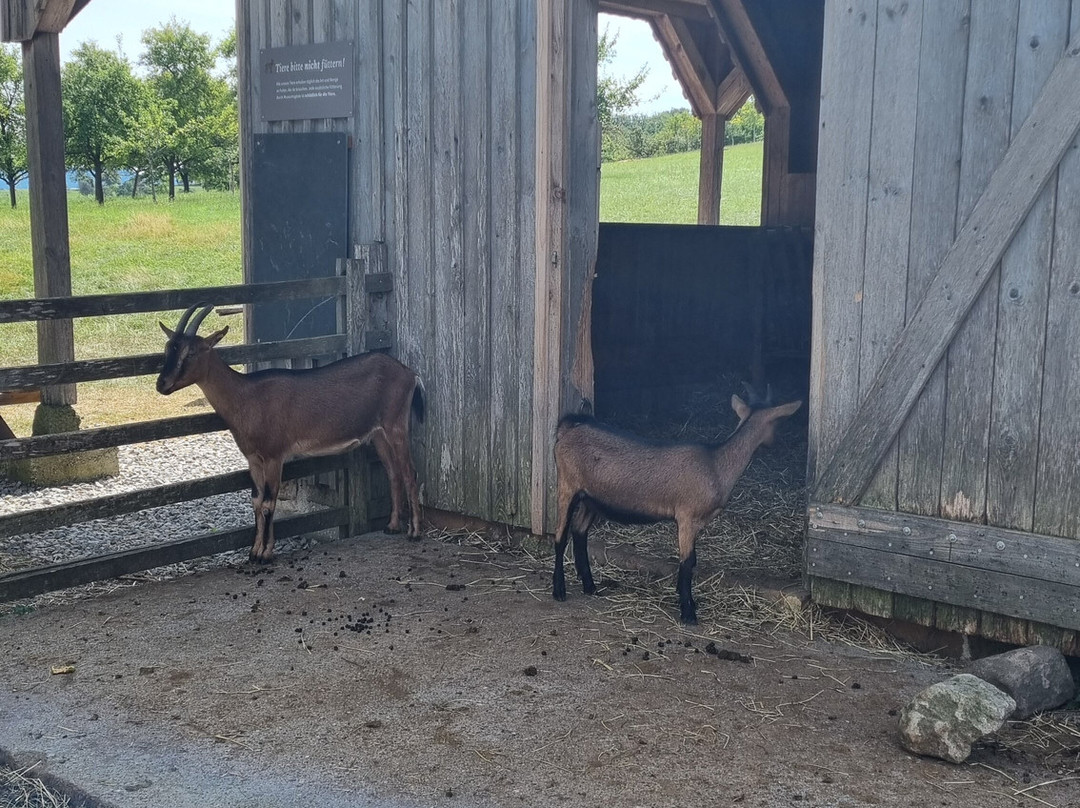 Hohenlohe Open Air Museum-施韦比施哈尔必去景点