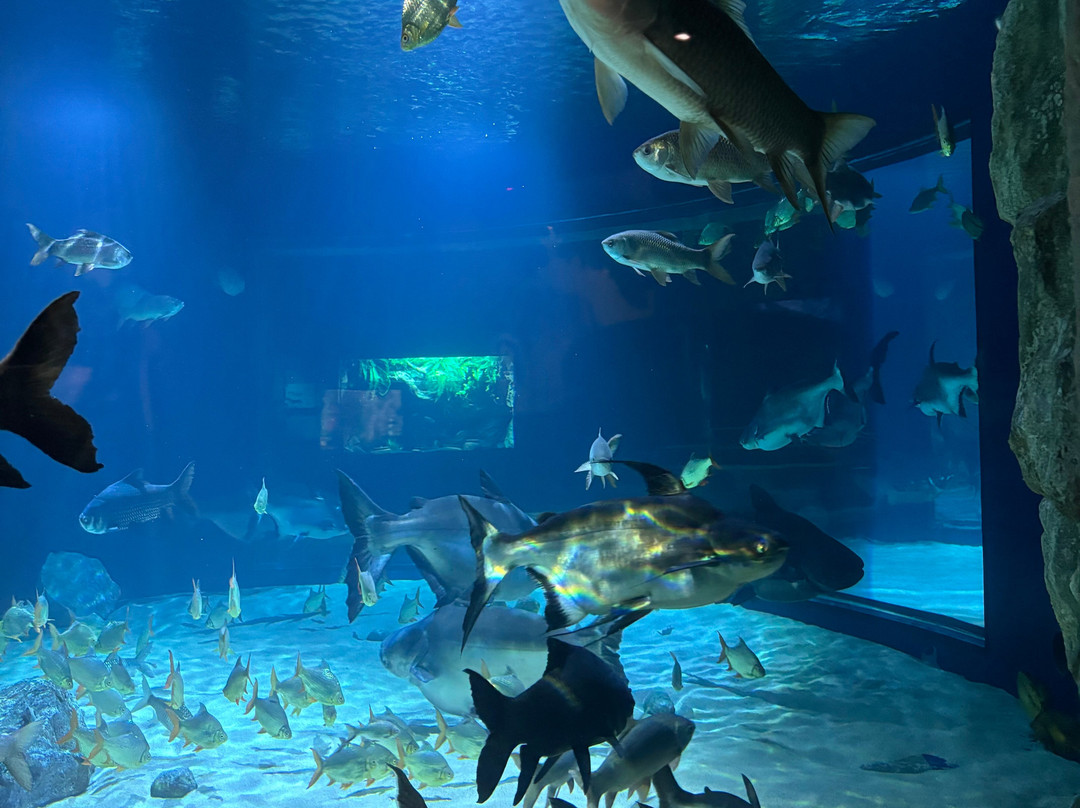 Angkor Wildlife & Aquarium-暹粒必去景点