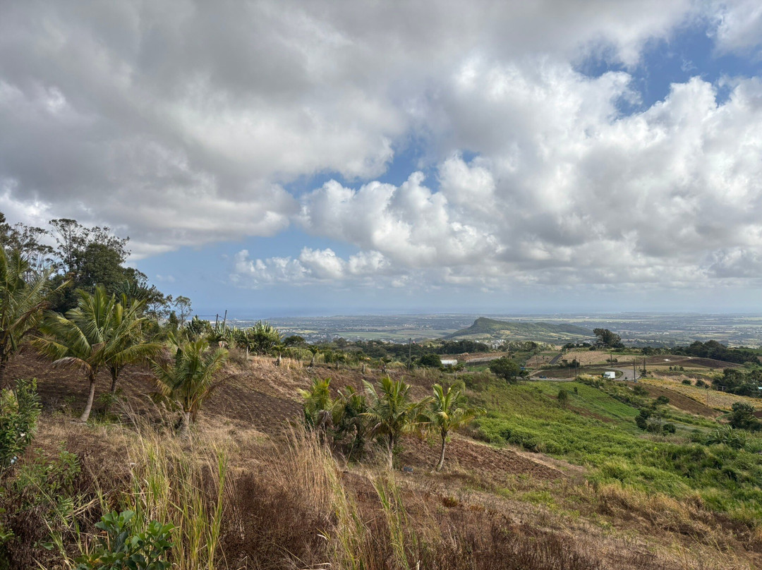 Nature Trails Mauritius-卡特勒博尔纳必去景点