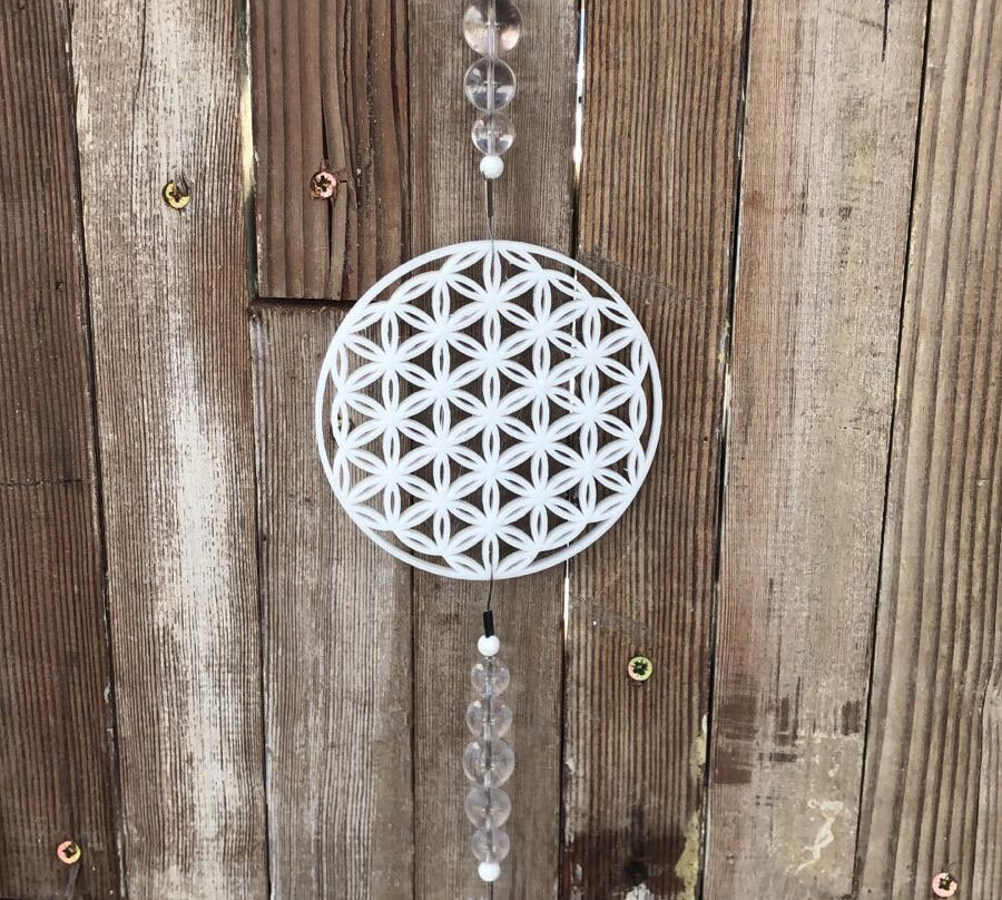 Eclectique-Kalk Bay必去景点