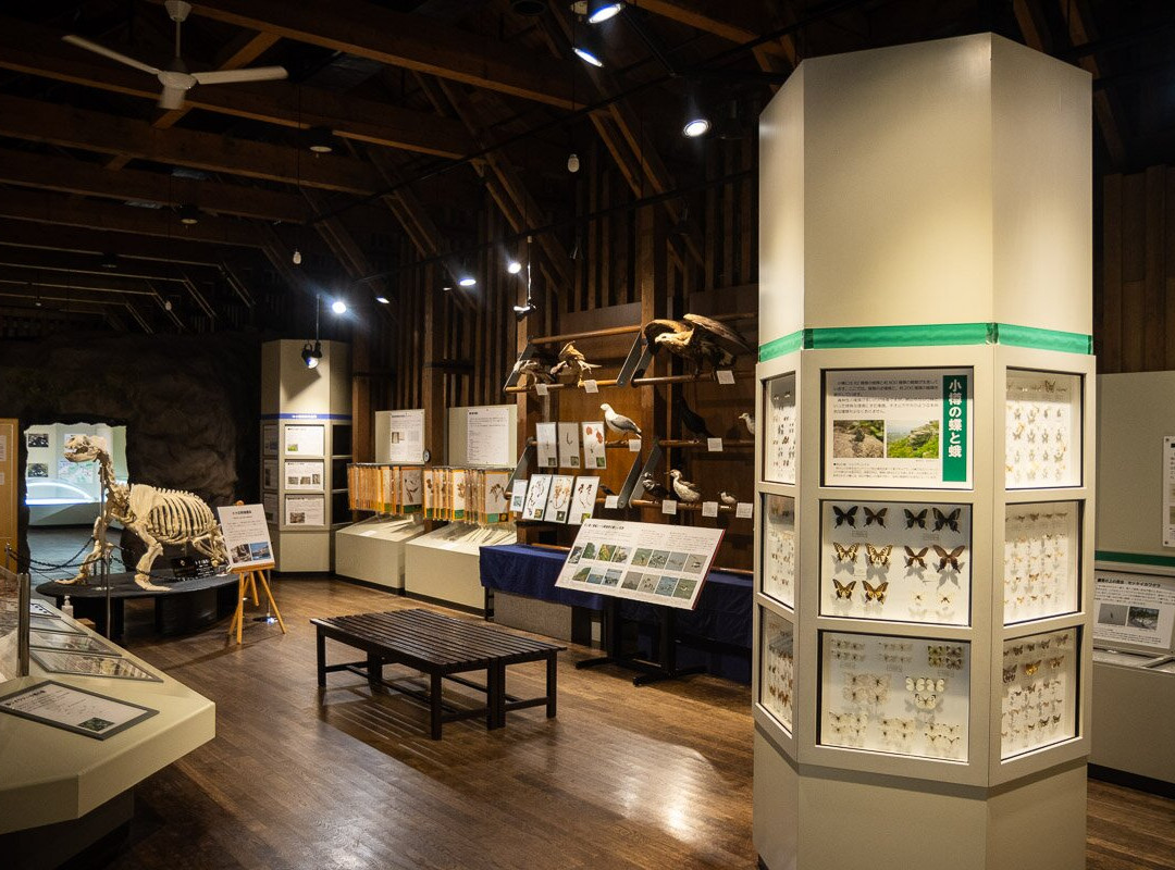 Otaru City General Museum Ungakan-小樽市必去景点